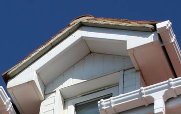 Seed fascia installation costs