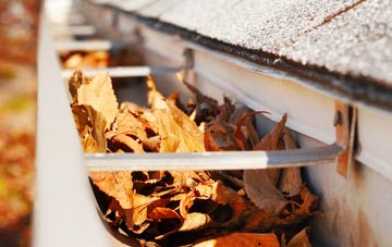 Seed gutter cleaning companies