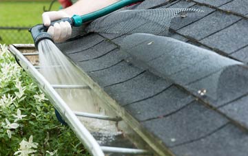Seed gutter cleaning costs