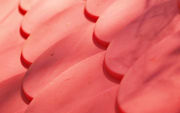 Seed plastic roof costs