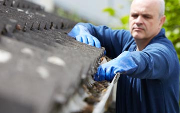 cleaning and inspecting Seed roofs