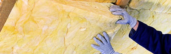 quotes for Seed roof insulation