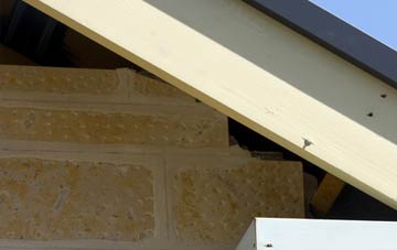 soffit repair Seed