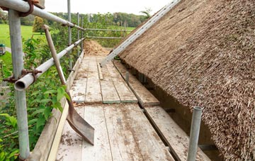 advantages of Seed thatch roofing