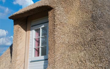 Seed thatch roof disadvantages